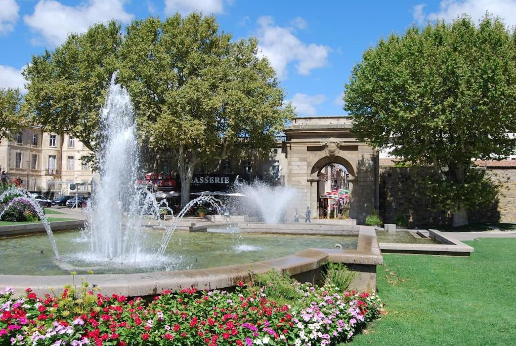 Appartement Avec Terrasse Centre De La Bastide Carcassonne Ngoại thất bức ảnh